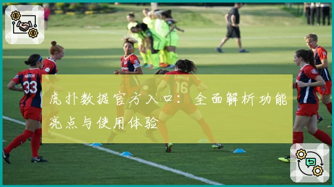 虎扑数据官方入口：全面解析功能亮点与使用体验