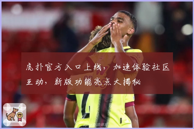 虎扑官方入口上线,加速体验社区互动,新版功能亮点大揭秘